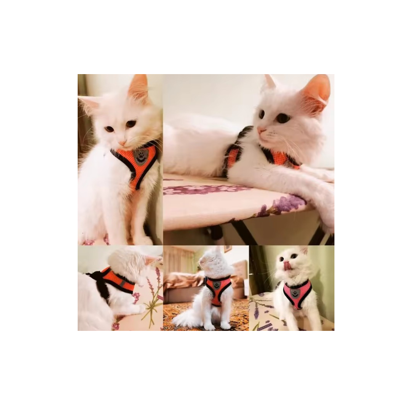 Small Cat / Kitten Harness Vest & Lead - Blue