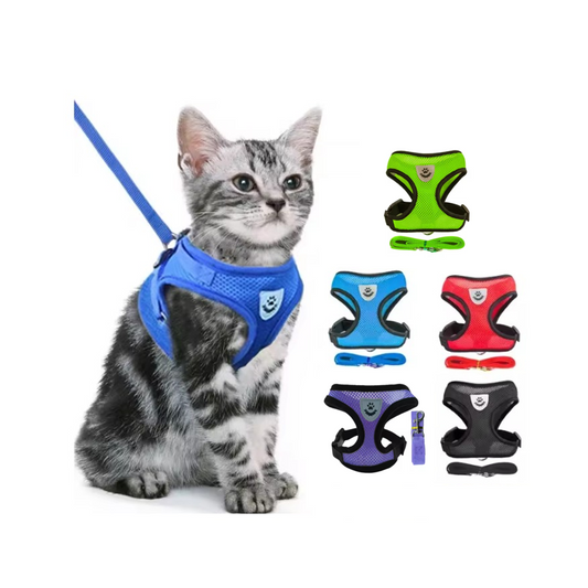Small Cat / Kitten Harness Vest & Lead - Black